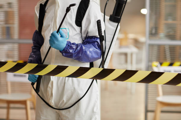 Professional Hoarding Cleanup technician working in Belmont, MI